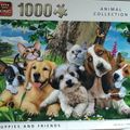 Animal collection, chiens et chats, 1000 pièces
