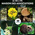 Salon du champignon et de la nature