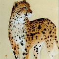 LEUNG David (XX). Guépard