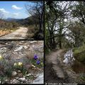 Dans la garrigue varoise - de Signes à Mazaugues