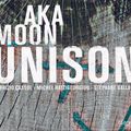 regard  sur  le groupe   AKA MOON 