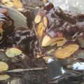 Panforte au chocolat et amandes