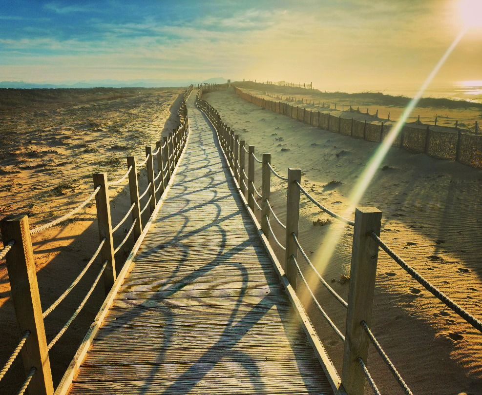 Labenne-Océan, sur les dunes, insta (40)