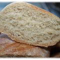 Baguettes au levain Kayser