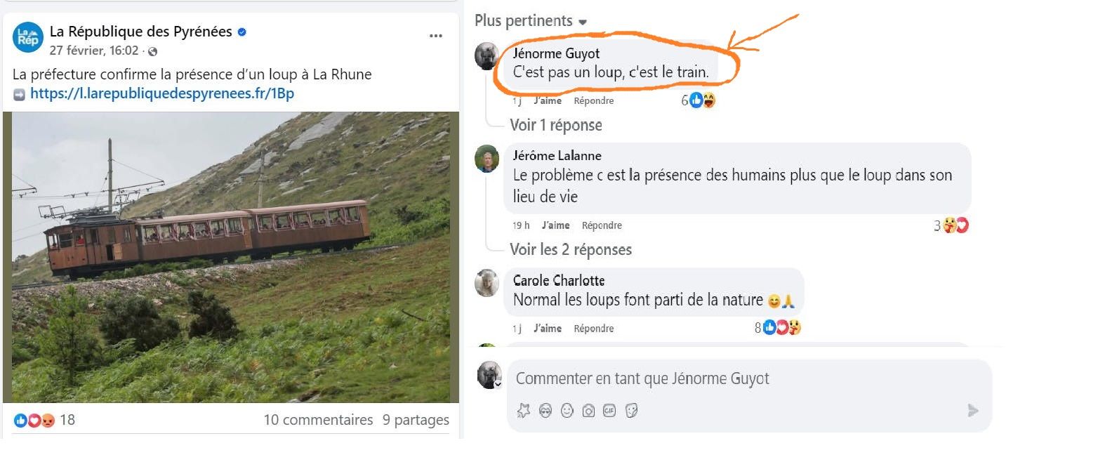Loup sur Rhune comments.