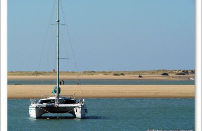 Envie de bord de mer...