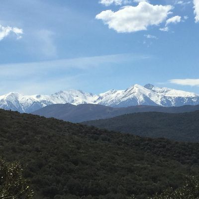 Le Canigou vu des Aspres