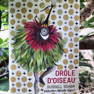 Drôle d'oiseau Russell Soaba Traduit par Mireille Vignol Éditions Au Vent des îles