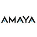 Amaya va partager ses jeux de casino en ligne 