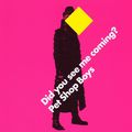 PET SHOP BOYS - DID YOU SEE ME COMING ?