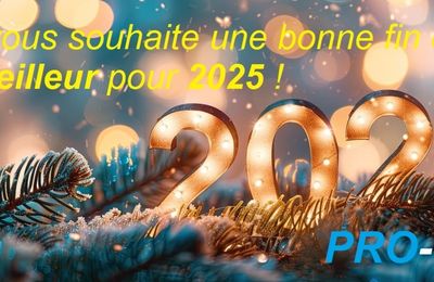 Au revoir 2024...