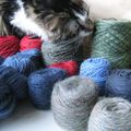 Knitting addiction #4