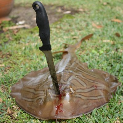 Weekend Australia Day a Jervis Bay