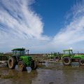 Les tracteurs des conchiliculteurs.