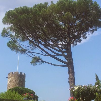 Très contente de revenir par ici : )