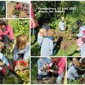atelier permaculture avril 2025 MDE