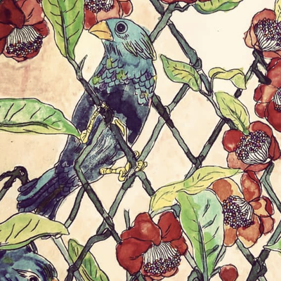 couleurs et bruissements d'ailes