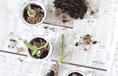 Le printemps pointe le bout de son nez 