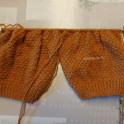 Mon en cours suite des manches gilet Kayden ...