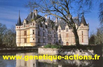 Dimanche 15 juin à Azay-le-Rideau, VTT et marche, pour une action caritative...