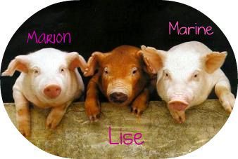 3 petits cochons
