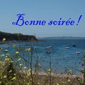 Vue sur la rade de Brest depuis la plage de Larmor à Plougastel-Daoulas