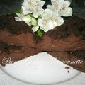 Pudding ou diplomate mascarpone chocolat et fruits confits