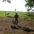 Les éleveurs, les plus compétents pour juger du bien-être animal ...