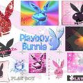 play boy play bloy