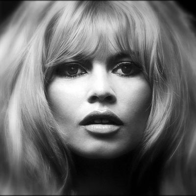 BRIGITTE BARDOT  ... HOMMAGE