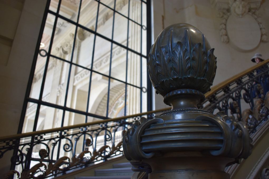 Exposition ERNESTO NETO 2025