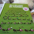 Mille milliards de fourmis - Delphine Godard et Roland Garrigue