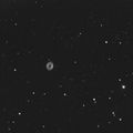 M57 en noir et blanc, première lumière de la Scopos