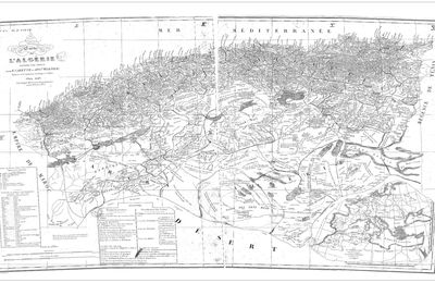 Une pépite exhumée de mes archives électroniques - Carte d'Algérie de 1846 divisée par tribus par Carette et Warnier