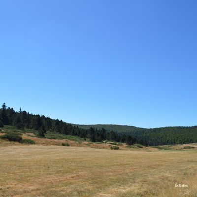 Lozère <3 