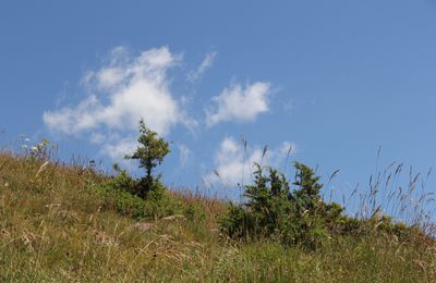 L'avenir est un mystère