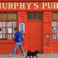 The golden jubilée (Trad. Irlande)