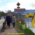 Séjour de randonnées à l'occasion de la Fête des Jonquilles à Gérardmer (Vosges)