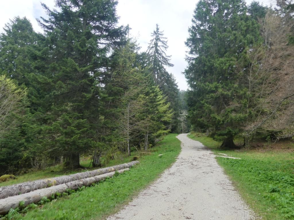 P1320593