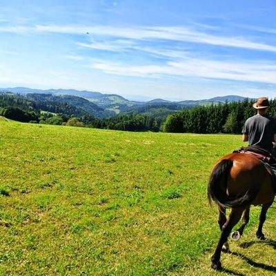 Isabelle Morot-Sir : cavalière au long cours et romancière