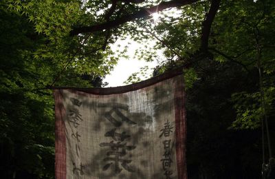 nara-kasuga taisha