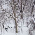 Buttes Chaumont _ Sport d'hiver