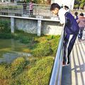 Une dizaine de crocodiles lapidés par les visiteurs d'un zoo chinois