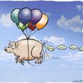 Le cochon volant de Flock