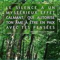 💚💚💚 LE SILENCE 💚💚💚....