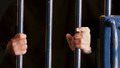 80 mineurs emprisonnés dans les geôles israéliennes 