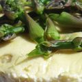 CELLE QUI L'AIMAIT VERTE ET BLANCHE: RICOTTA CHEESECAKE AUX 2 ASPERGES