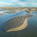 Beauté de la nature en Baie de Somme