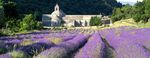 Douce Provence