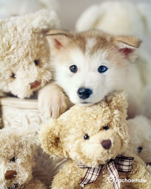 Untitled en We Heart It. http://weheartit.com/entry/82298224/via/Luna_mi_Angel